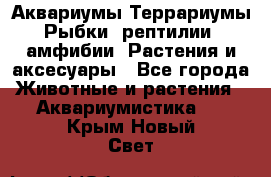 Аквариумы.Террариумы.Рыбки, рептилии, амфибии. Растения и аксесуары - Все города Животные и растения » Аквариумистика   . Крым,Новый Свет